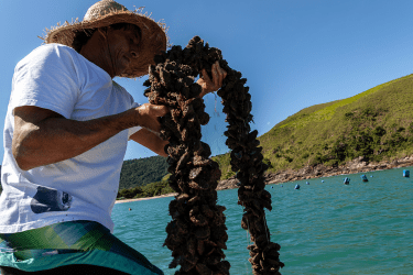 Environmental-Footprint