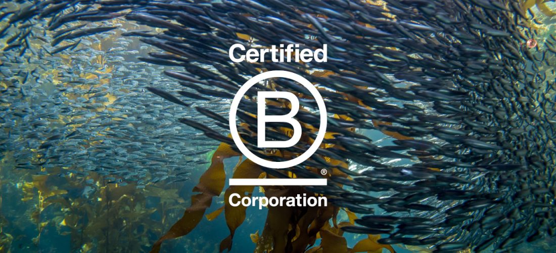 Image_B Corp